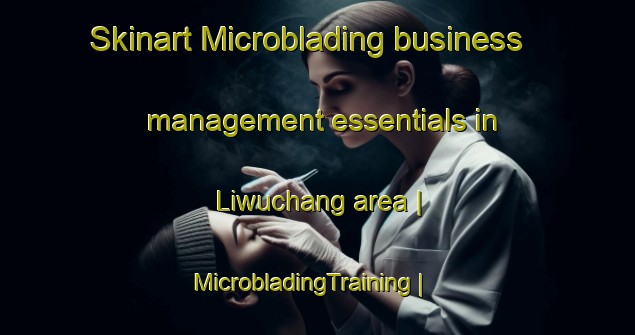 Skinart Microblading business management essentials in Liwuchang area | MicrobladingTraining | MicrobladingClasses | SkinartTraining-China